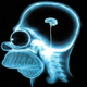 Image for article titled How skillful advertisers can word-jack your brain